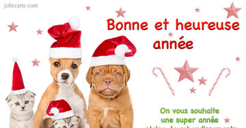 Aperçu de la carte : « On vous souhaite une super année pleine de rebondissements, surprises et bonheur... »