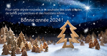 Aperçu de la carte : « Pour cette année nouvelle, je te souhaite des joies simples, de belles perspectives... »
