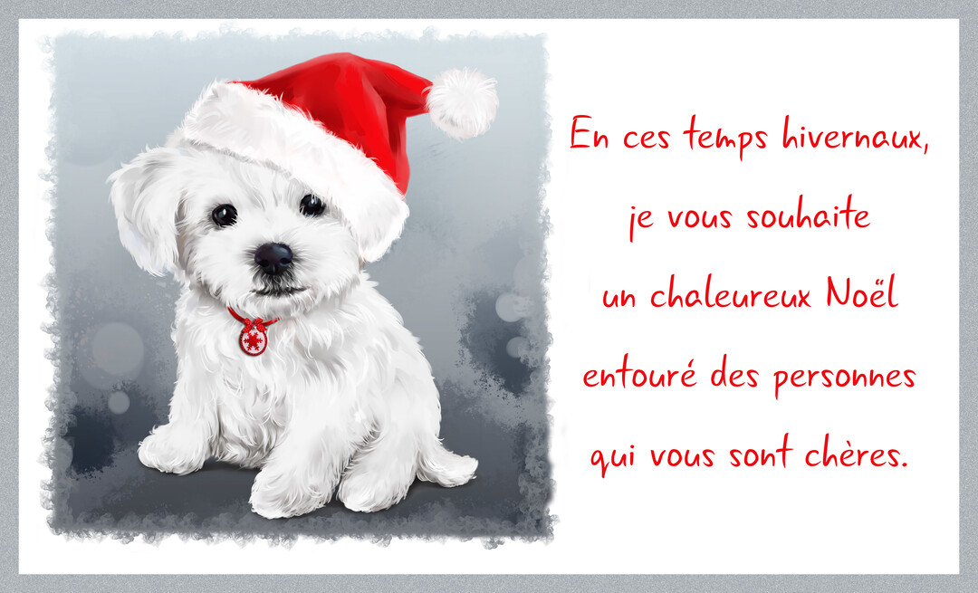 Un chiot blanc et duveteux, coiffé d'un bonnet de Noël rouge, est assis sur un fond gris-bleu à côté d'un message manuscrit.