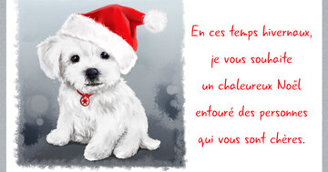 Aperçu de la carte : « En ces temps hivernaux, je vous souhaite un chaleureux Noël entouré des personnes qui... »