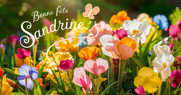 Aperçu de la carte : 