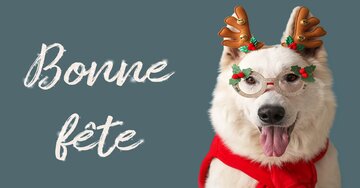 Aperçu de la carte : Bonne fête Nicolas