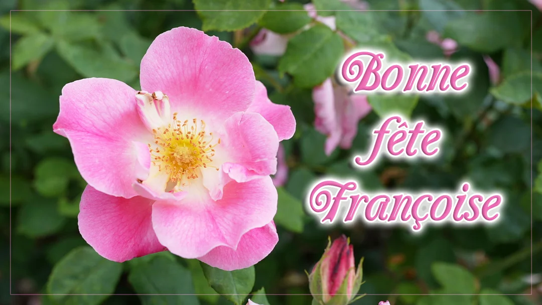 Gros plan sur une rose rose épanouie aux étamines jaunes, sur un fond de feuillage vert, avec l'inscription calligraphiée 'Bonne fête Françoise'.