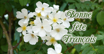 Aperçu de la carte : Bonne fête François