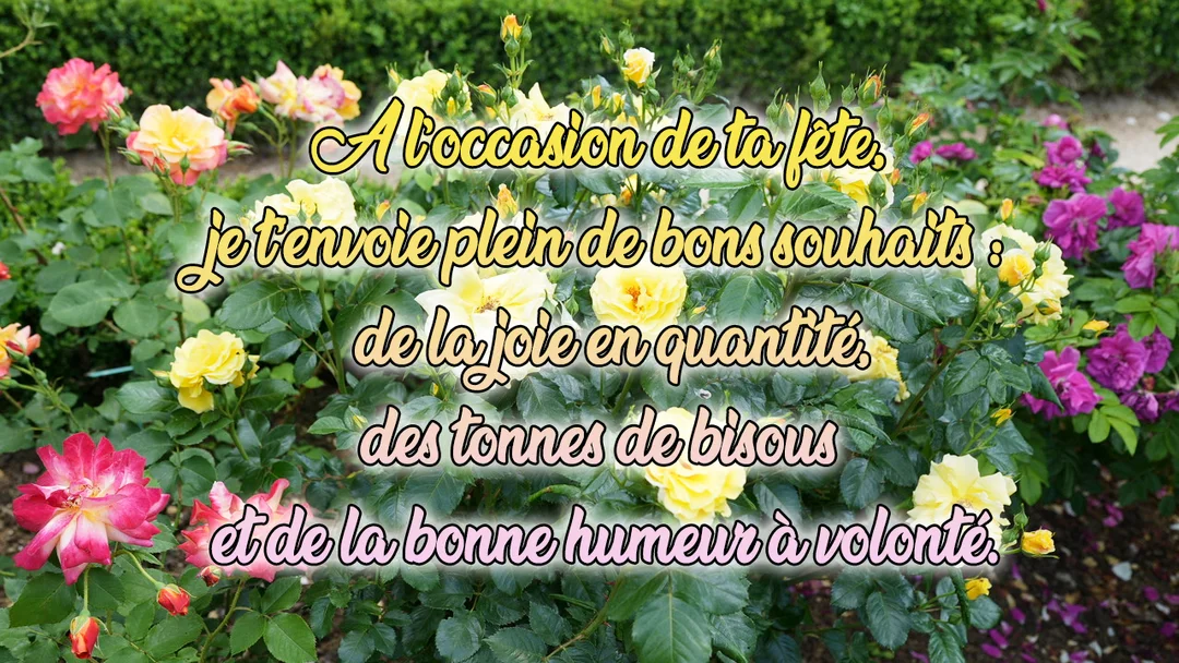 Une photographie d'un luxuriant parterre de rosiers multicolores, sur lequel est superposé un texte de vœux pour une fête de prénom.