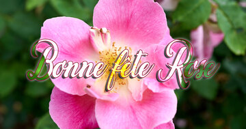 Aperçu de la carte : Bonne fête Rose