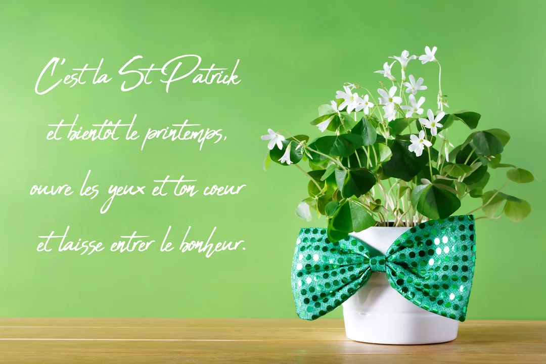 Une plante de trèfle en pot blanc avec un grand nœud papillon vert à paillettes, posée sur une table devant un fond vert uni.