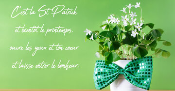 Aperçu de la carte : « C'est la St Patrick et bientôt le printemps, ouvre les yeux... »
