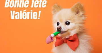 Aperçu de la carte : Bonne fête
Valérie!