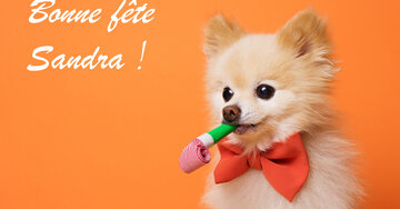 Aperçu de la carte : Bonne fête Sandra !