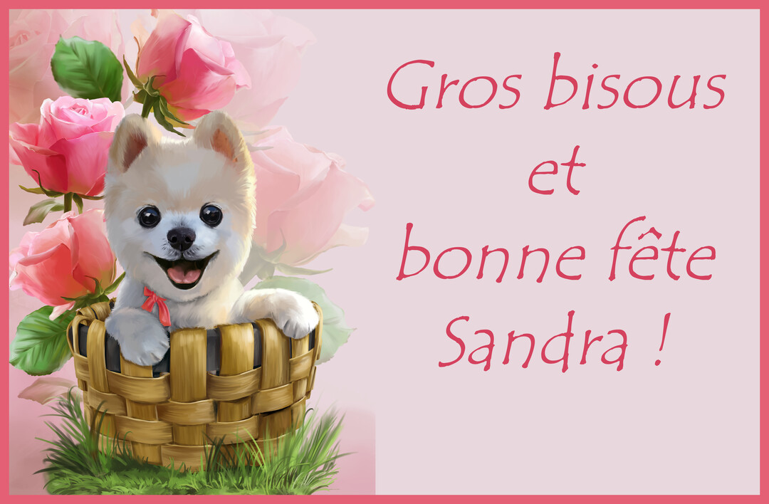 Un petit chien blanc de type spitz, souriant, est assis dans un panier en osier devant un fond de roses roses luxuriantes.