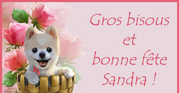 Aperçu de la carte : Gros bisous
et
bonne fête
Sandra !
