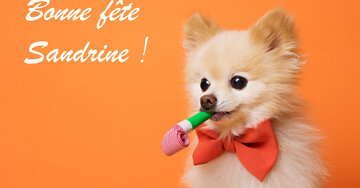 Aperçu de la carte : Bonne fête Sandrine !