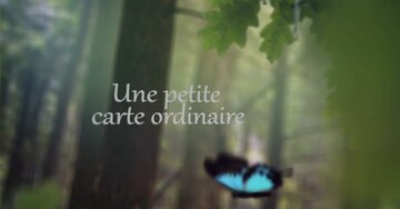 Aperçu de la carte : « Une carte pour quelqu'un d'extraordinaire... »