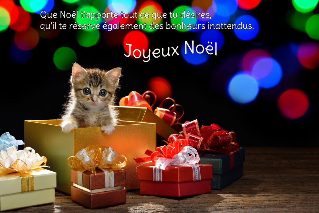 Un chaton tigré aux grands yeux sort d'une boîte cadeau dorée, entouré de paquets colorés sur fond noir avec des lumières floues.