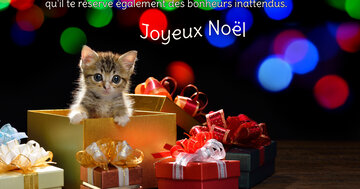 Aperçu de la carte : « Que Noël t'apporte tout ce que tu désires et des bonheurs inattendus... »