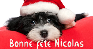 Aperçu de la carte : Bonne fête Nicolas