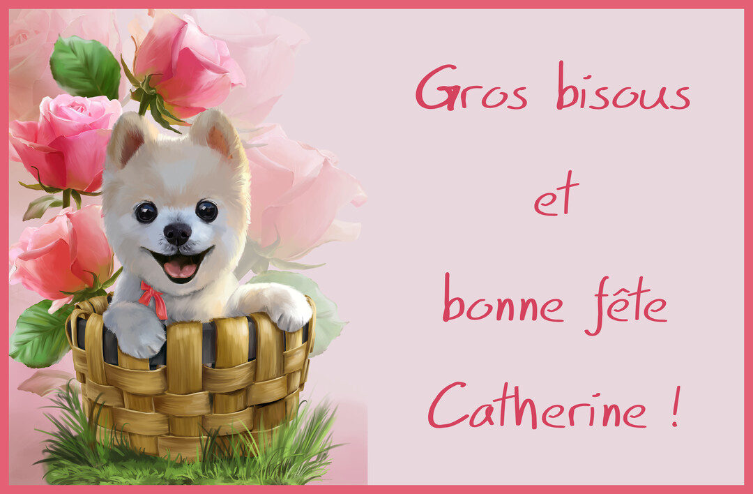 Une illustration d'un petit chien blanc souriant dans un panier en osier, sur un fond rose dĂ©corĂ© de roses et du texte "Gros bisous et bonne fĂȘte Catherine !".