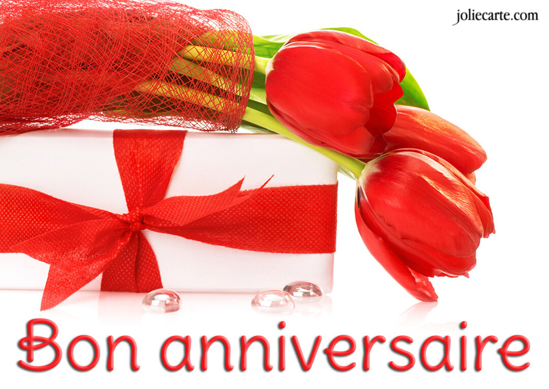 Une composition photographique présentant un cadeau blanc noué d'un ruban rouge, à côté d'un bouquet de tulipes rouges, sur un fond blanc pur.