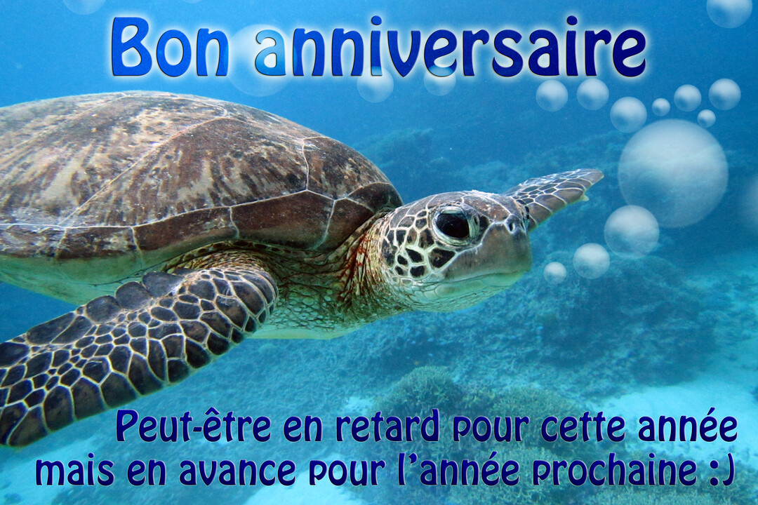 Une tortue de mer verte et marron nage dans un océan bleu profond, avec des bulles et un texte de vœux d'anniversaire humoristique.