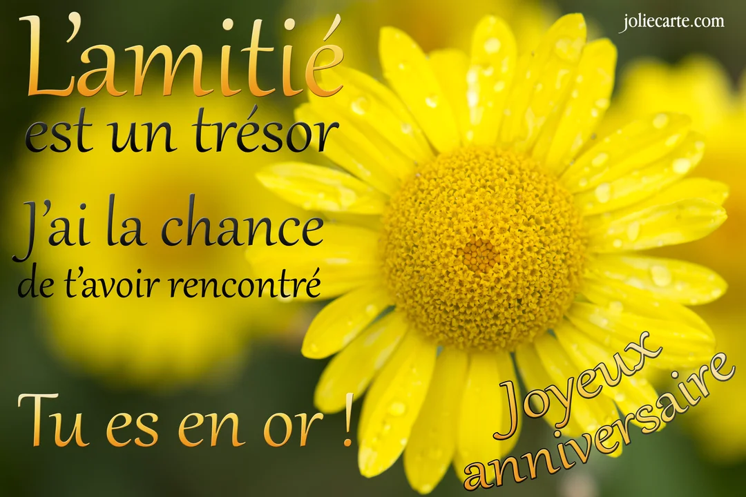 Gros plan sur une marguerite jaune couverte de rosée, avec un message d'anniversaire chaleureux célébrant l'amitié sur un fond naturel.