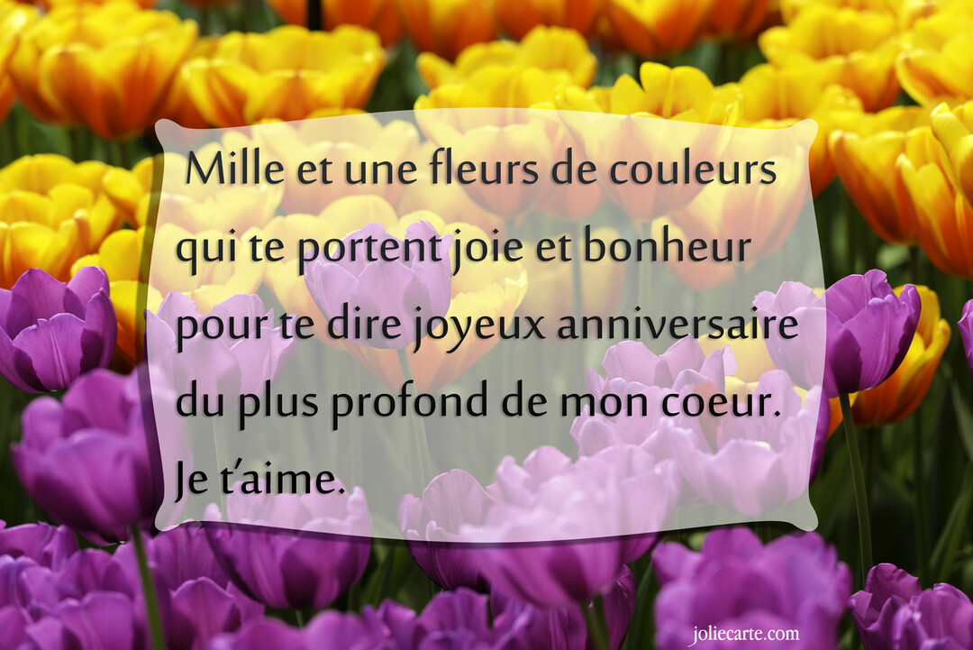 Une carte de vœux d'anniversaire superposée sur une photographie d'un champ vibrant de tulipes violettes au premier plan et jaunes à l'arrière.