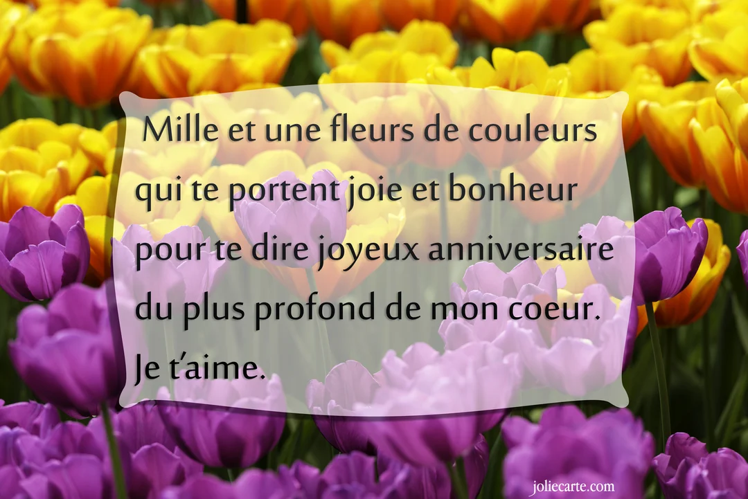 Une carte de vœux d'anniversaire superposée sur une photographie d'un champ vibrant de tulipes violettes au premier plan et jaunes à l'arrière.