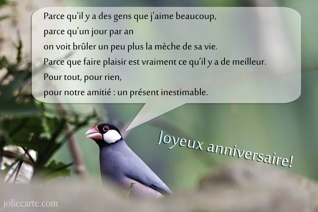 Un oiseau gris et blanc, un padda de Java, regarde vers un message poétique célébrant l'amitié pour un anniversaire, sur un fond végétal flou.