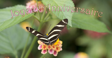 Aperçu de la carte : « C'est un grand jour où mes souhaits les plus beaux... »