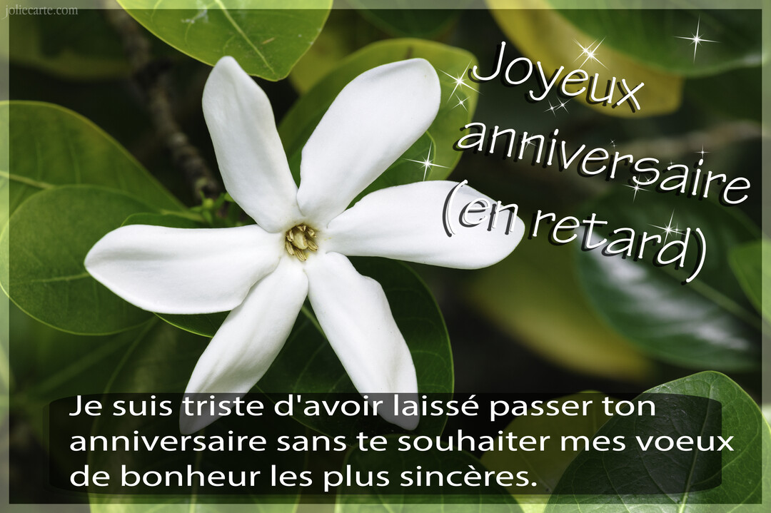 Gros plan sur une fleur blanche aux pétales délicats, sur un lit de feuilles vertes luxuriantes, avec un message de vœux d'anniversaire en retard.