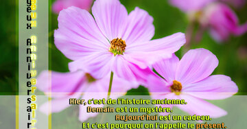 Aperçu de la carte : « Hier c'est de l'histoire, demain un mystère, aujourd'hui un cadeau... »