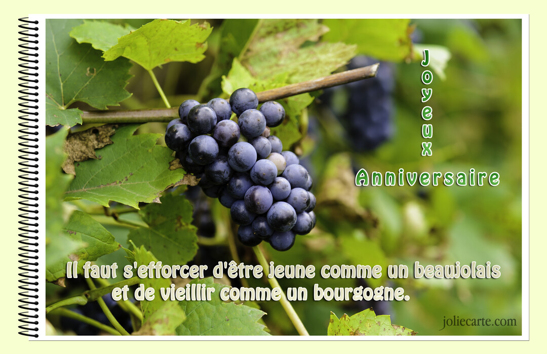 Une carte de vœux photographique montre une grappe de raisin mûr sur sa vigne, avec un texte d'anniversaire comparant l'âge au vin.