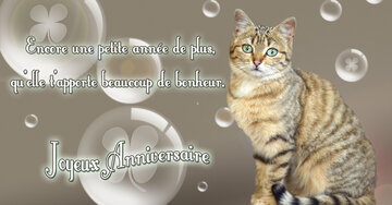 Aperçu de la carte : « Encore une petite année de plus, qu'elle t'apporte beaucoup de bonheur... »