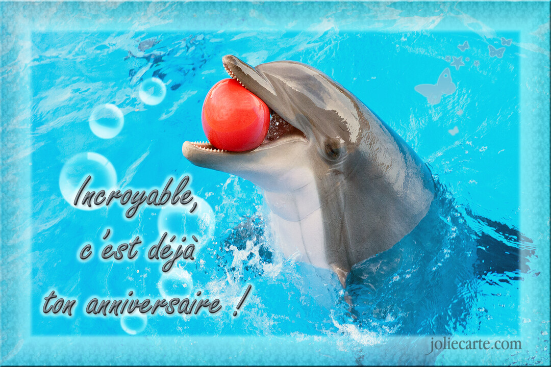 Un dauphin gris émerge d'une eau bleue vive, tenant un ballon rouge dans sa gueule ouverte, avec des bulles et papillons décoratifs.