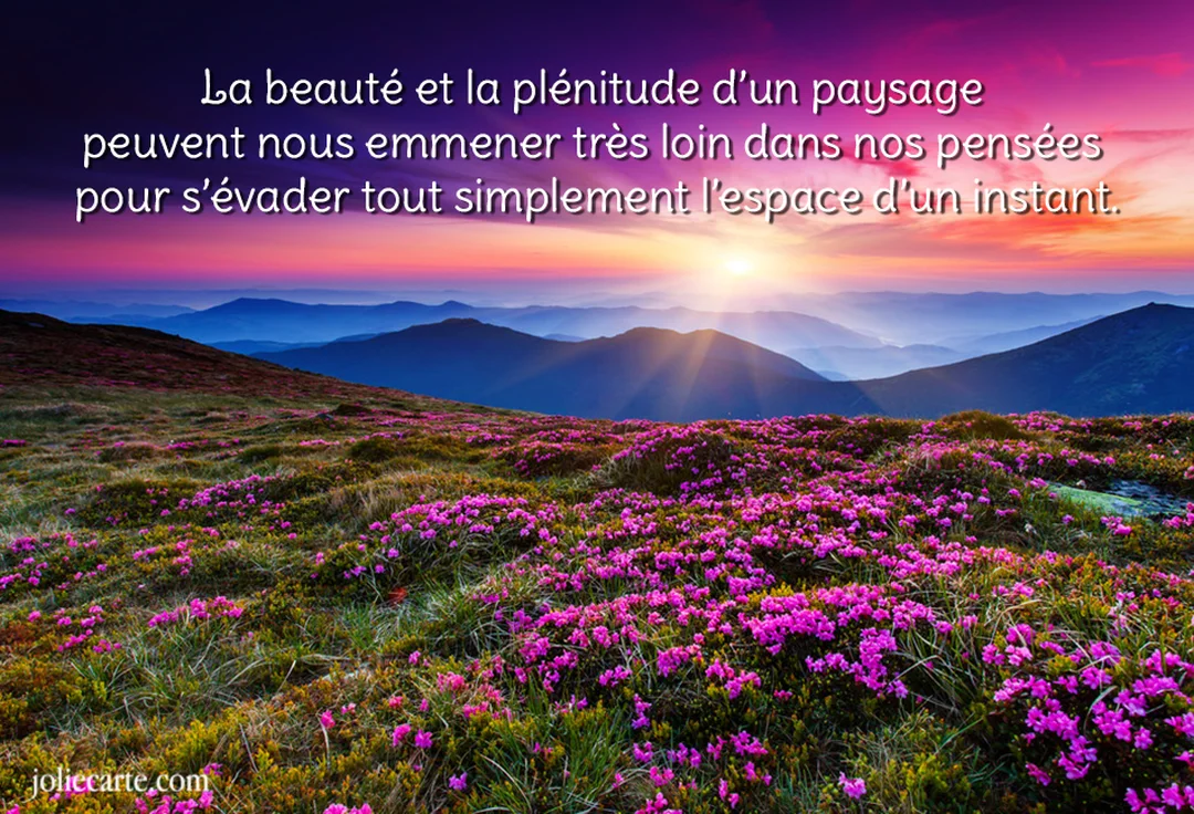 Vue panoramique d'un lever de soleil sur des montagnes, avec un premier plan couvert de rhododendrons roses en pleine floraison.