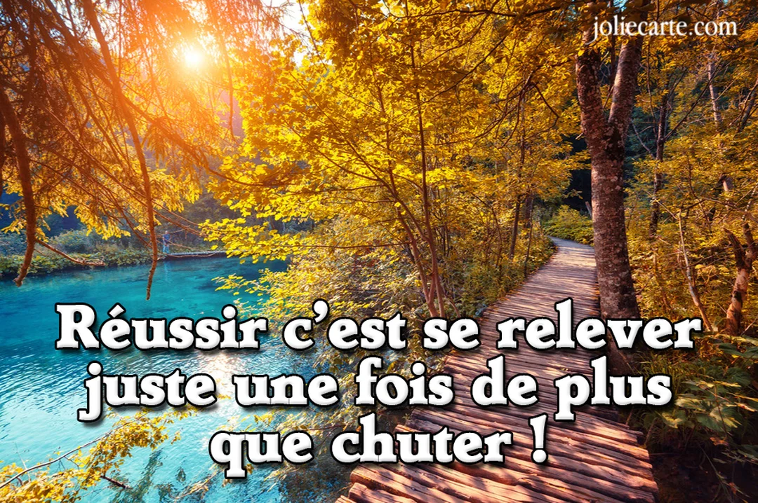 Un sentier en bois serpente à travers une forêt aux feuilles dorées, longeant une rivière d'un bleu cristallin sous un soleil éclatant.