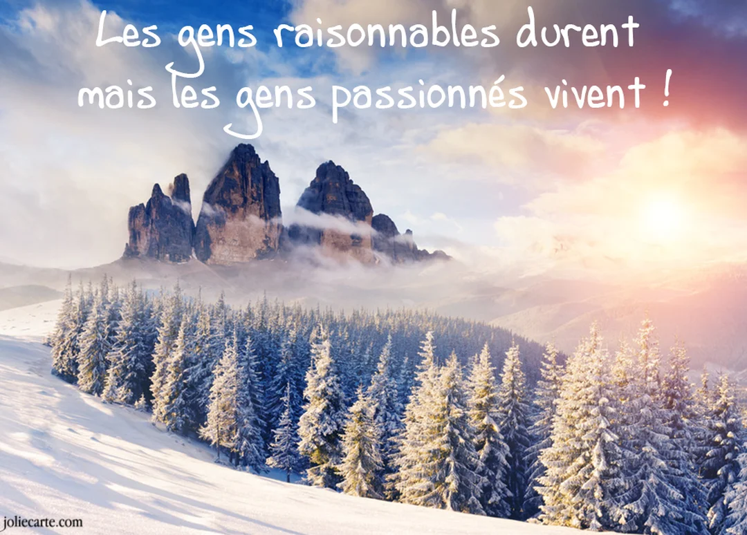 Un majestueux paysage de montagnes enneigées sous un ciel coloré par le soleil, avec une forêt de sapins au premier plan.