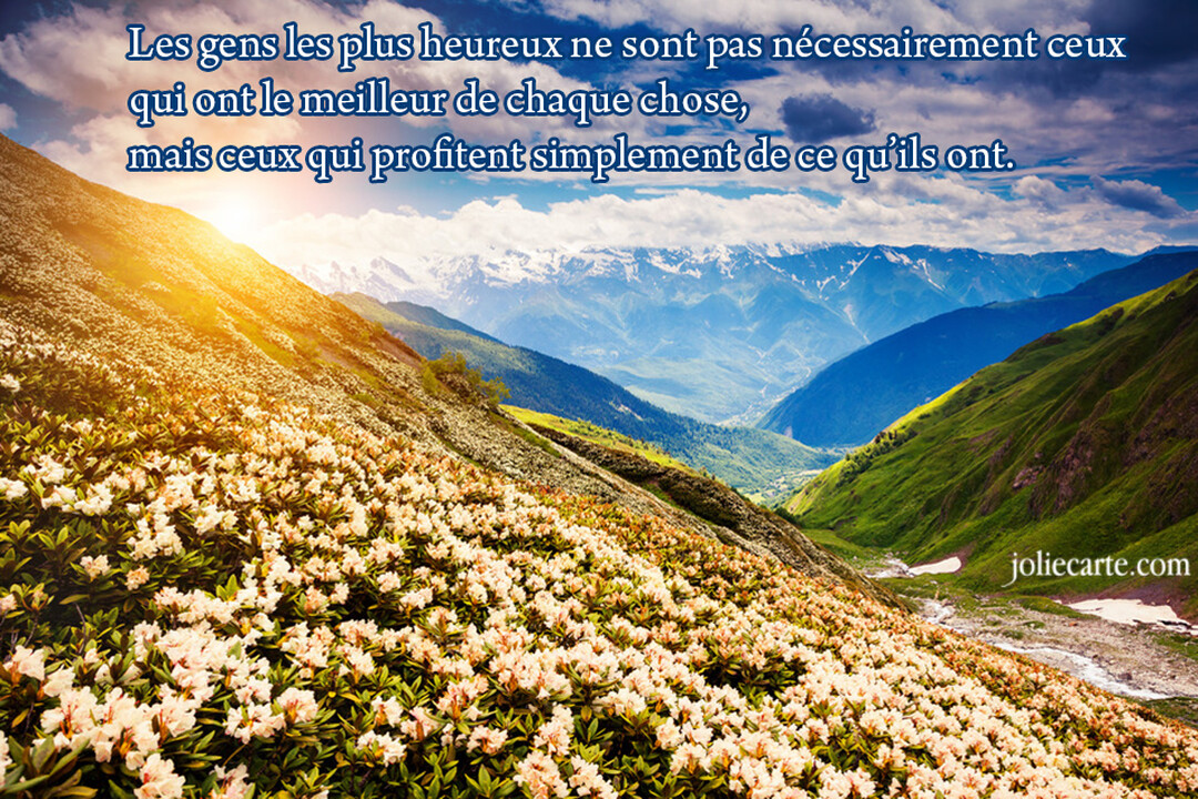 Un versant de montagne couvert de fleurs blanches sous un soleil éclatant, surplombant une vallée verdoyante avec des sommets enneigés en arrière-plan.