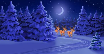 Aperçu de la carte : Joyeux Noël