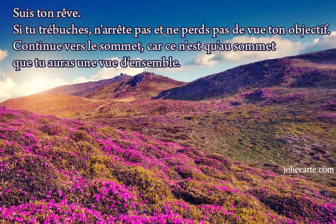 Un paysage de montagne lumineux, avec des versants recouverts de fleurs roses, sous un ciel bleu, illustrant une citation inspirante sur la persévérance.