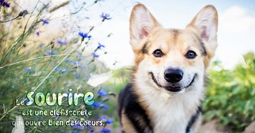 Aperçu de la carte : Le sourire est une clef secrète qui ouvre bien des coeurs.