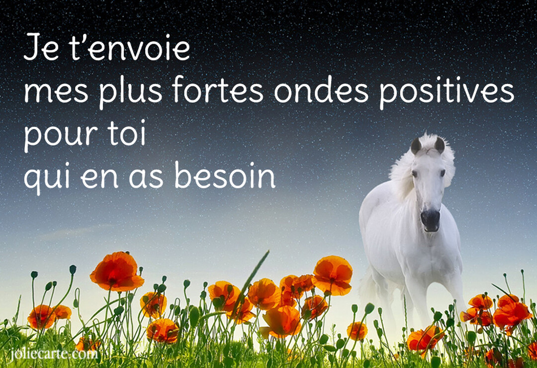 Un majestueux cheval blanc se tient dans un champ de coquelicots rouges, sous un ciel nocturne et intensément étoilé, regardant vers l'avant.