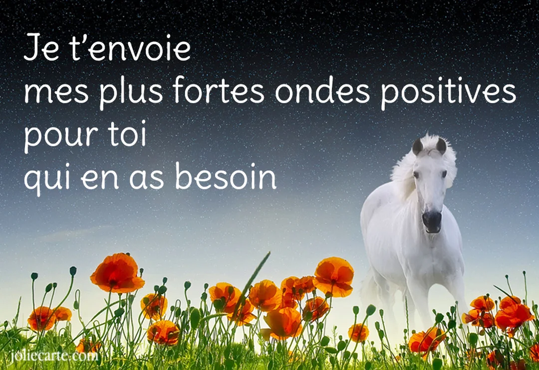 Un majestueux cheval blanc se tient dans un champ de coquelicots rouges, sous un ciel nocturne et intensément étoilé, regardant vers l'avant.