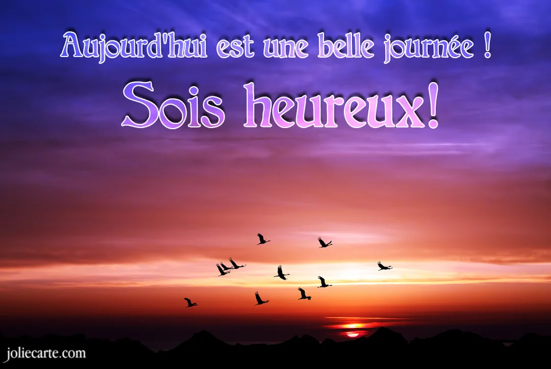 Une volée d'oiseaux en silhouette se déplace dans un ciel aux teintes violettes et orangées, au-dessus d'un soleil couchant à l'horizon.