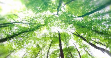 Aperçu de la carte : « La recette du bonheur : apprécier la vie, remercier, écouter, aimer, faire confiance... »