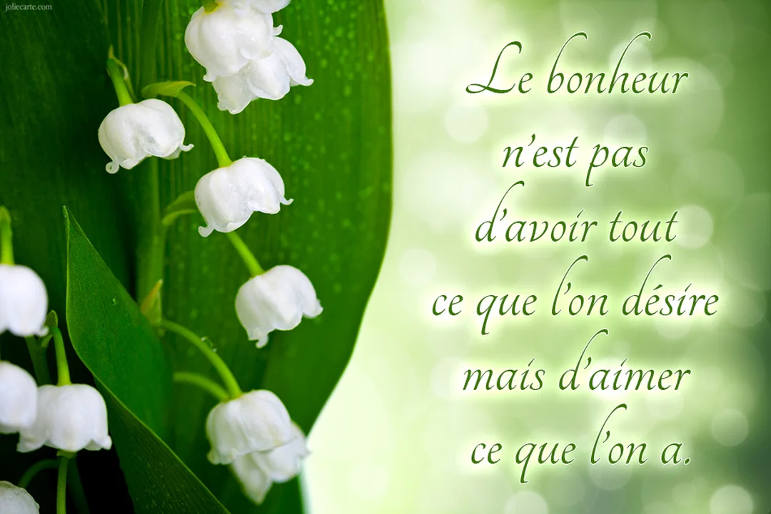 Une citation sur le bonheur est calligraphiée en vert sur un fond flou, à côté d'un gros plan de clochettes de muguet blanches.