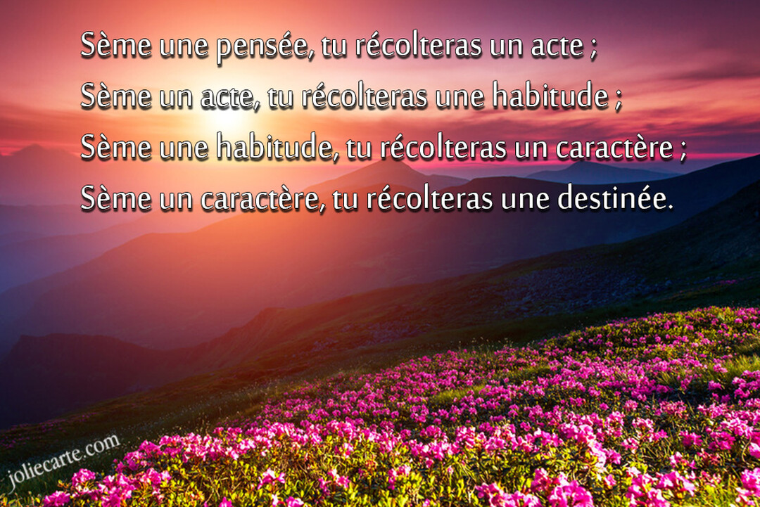 Une citation sur la destinée est superposée à un paysage de montagnes baigné par la lumière d'un soleil couchant, avec des fleurs roses au premier plan.