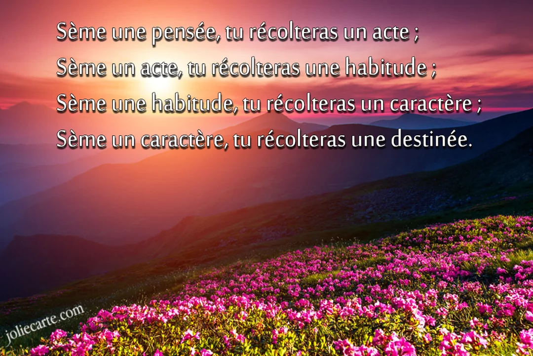 Une citation sur la destinée est superposée à un paysage de montagnes baigné par la lumière d'un soleil couchant, avec des fleurs roses au premier plan.