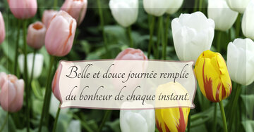 Aperçu de la carte : Belle et douce journée remplie du bonheur de chaque instant.