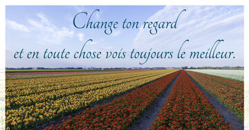Aperçu de la carte : Change ton regard et en toute chose vois toujours le meilleur.